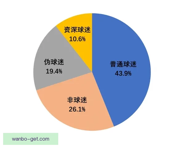 世界杯买球全攻略：技巧分析与风险防控全面指南